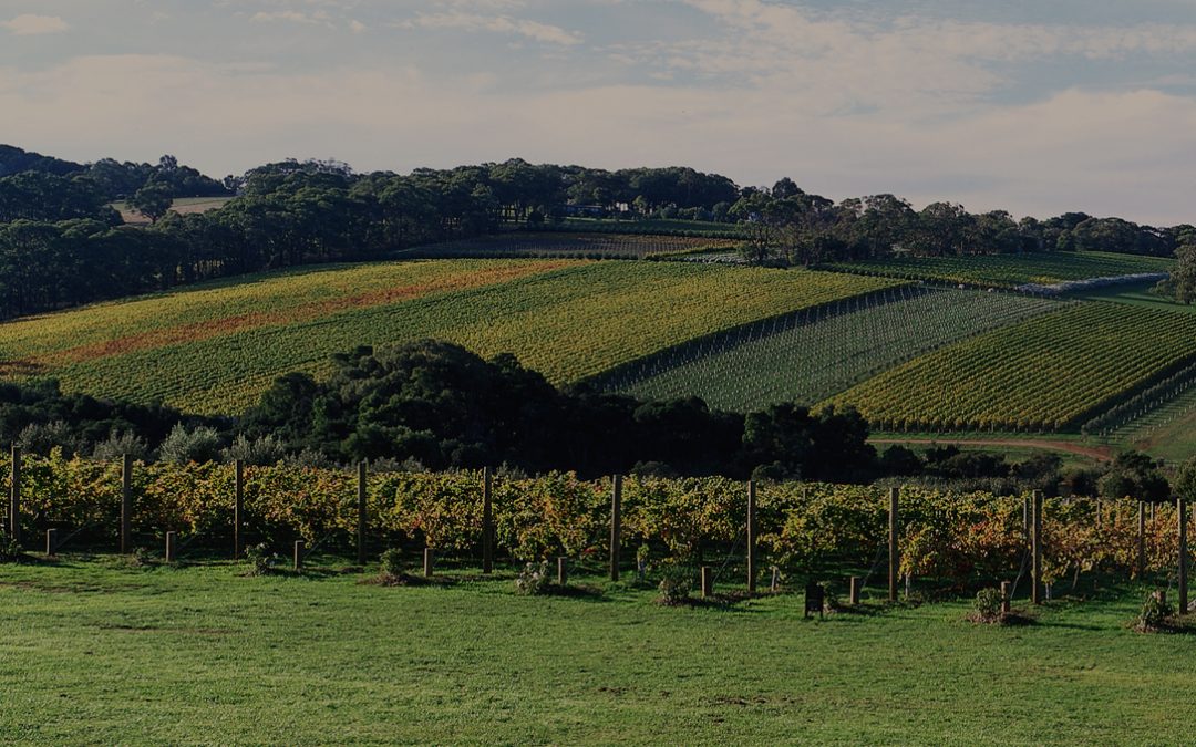 Mornington Peninsula Wineries